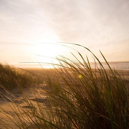 Grosse Nordseewelle Ohne Hund Норден Экстерьер фото