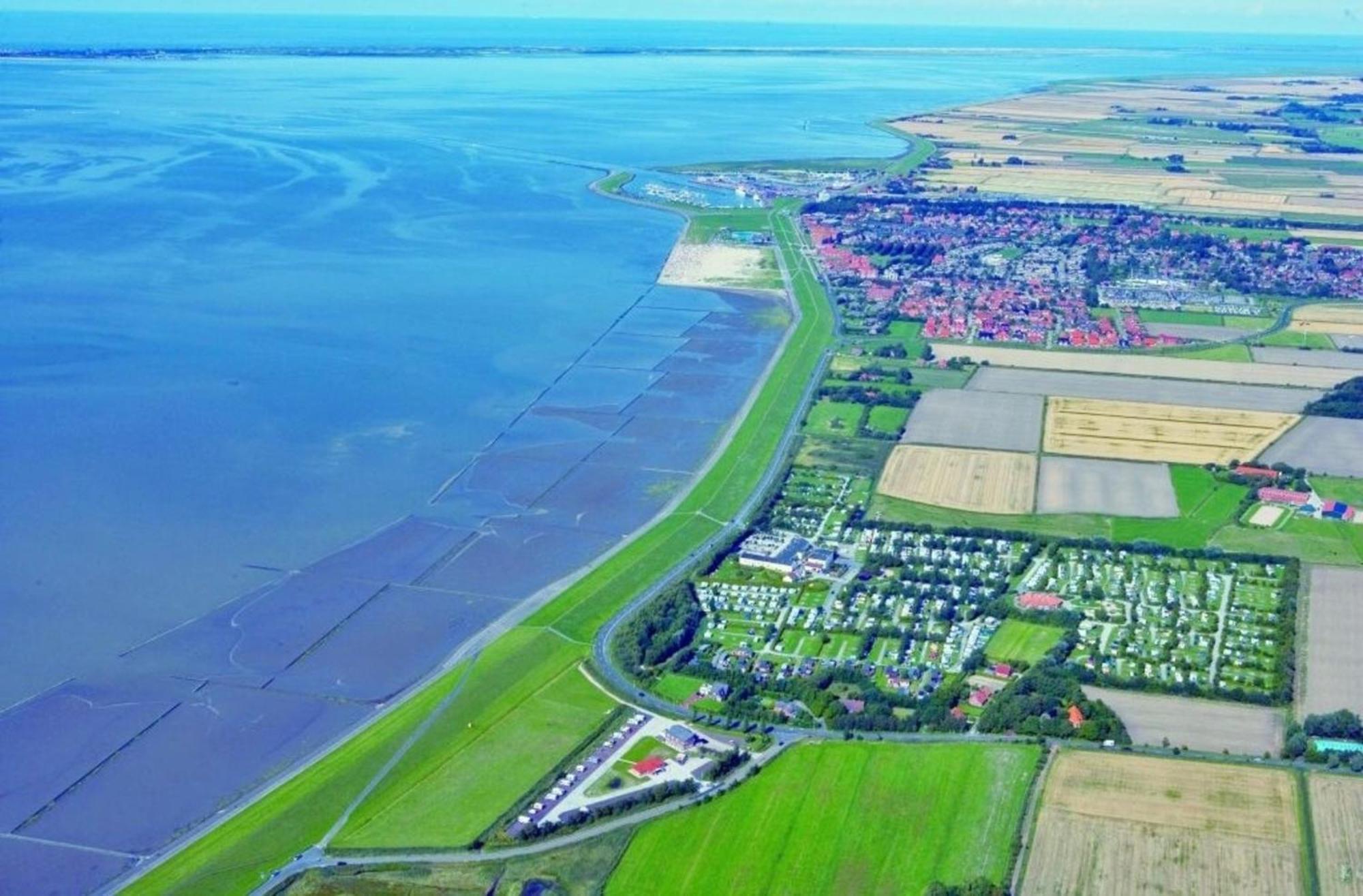 Grosse Nordseewelle Ohne Hund Норден Экстерьер фото